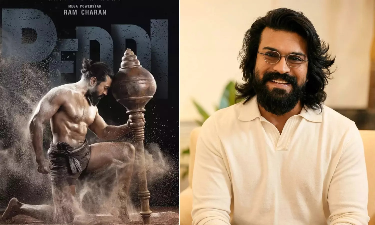 Peddi trailer